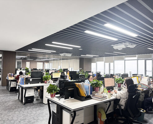 Chiny SONSILL HOLDING profil firmy