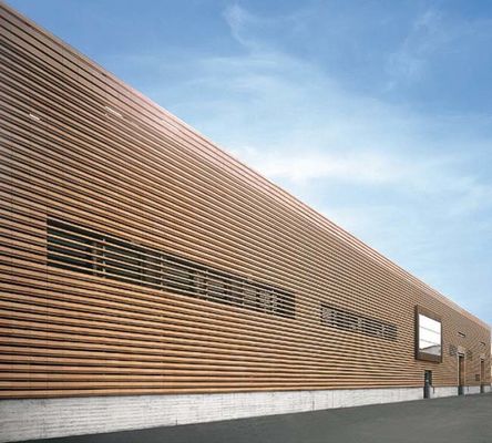 Zewnętrzny panel ścienny Co Extrusion 219x26mm do dekoracji ścian zewnętrznych
