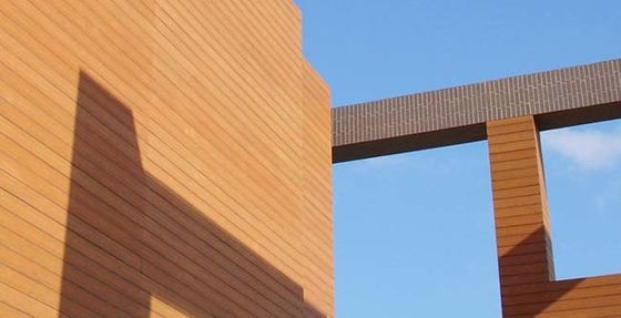 Co Extrusion Zewnętrzna okładzina ścienna Wpc Wodoodporna do dekoracji ogrodu